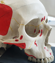 구강외과 인정의